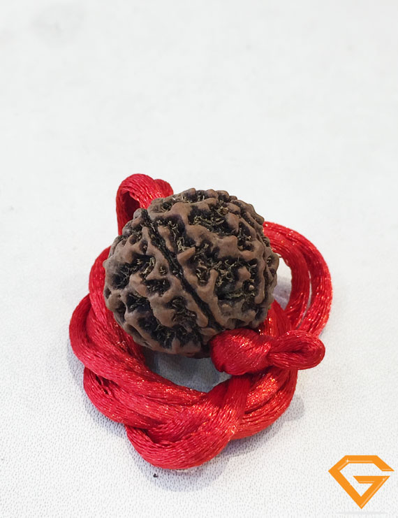 5 Mukhi Natural Certified Rudraksha Pendant Size- 22 mm
